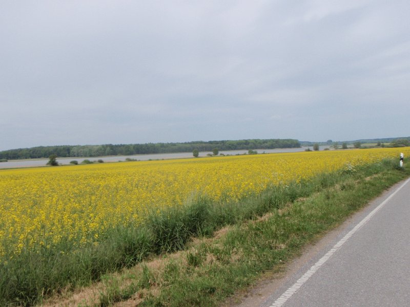 Bad Schwartau 215